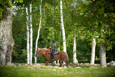 USA-Vermont-Vermont Equestrian Clinic